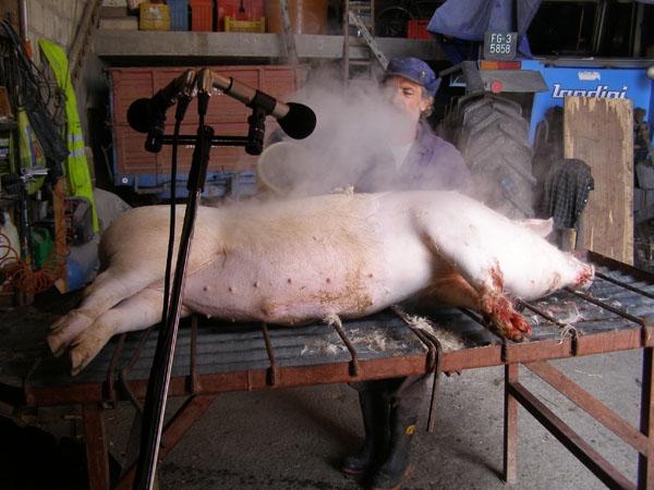 10 Preparazione del maiale